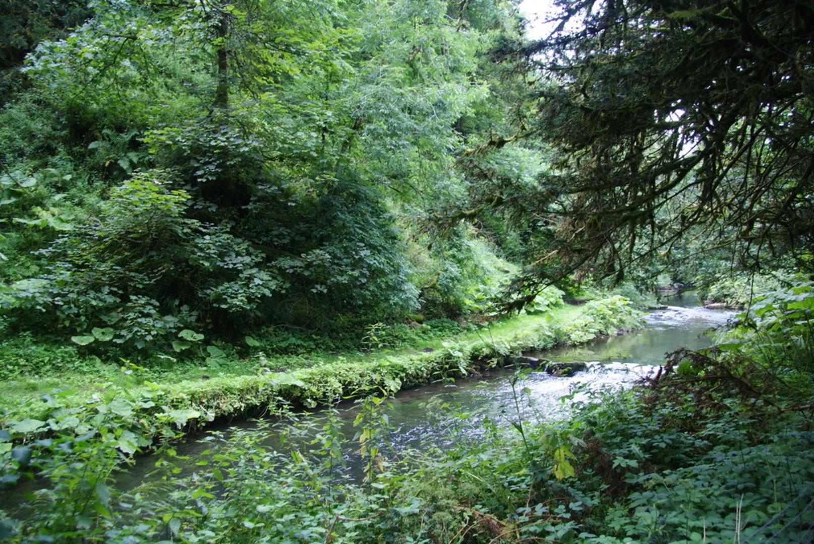An image depicting the trail Beresford Dale Loop and its surrounding area.