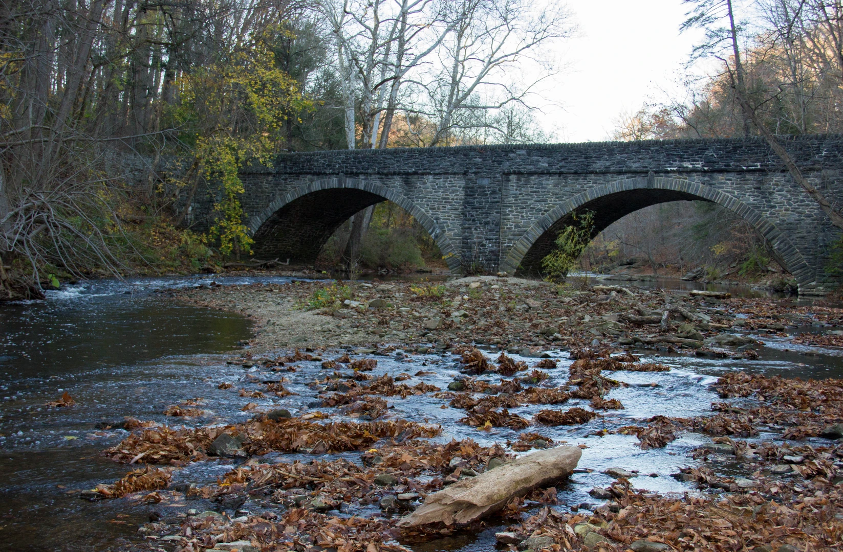 An image depicting the trail Wissahickon Creek and Blue Bell Park Loop and its surrounding area.