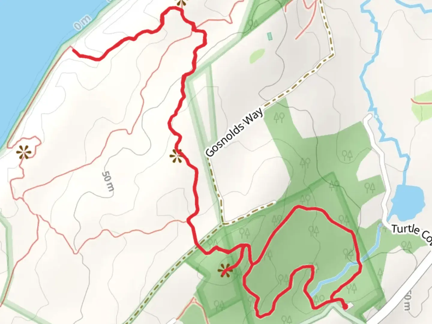 An image depicting the trail Beach Trail, Prospect Hill and Harris Loop Trail and its surrounding area.
