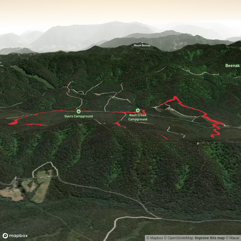 Nash Creek Loop - Wombat
