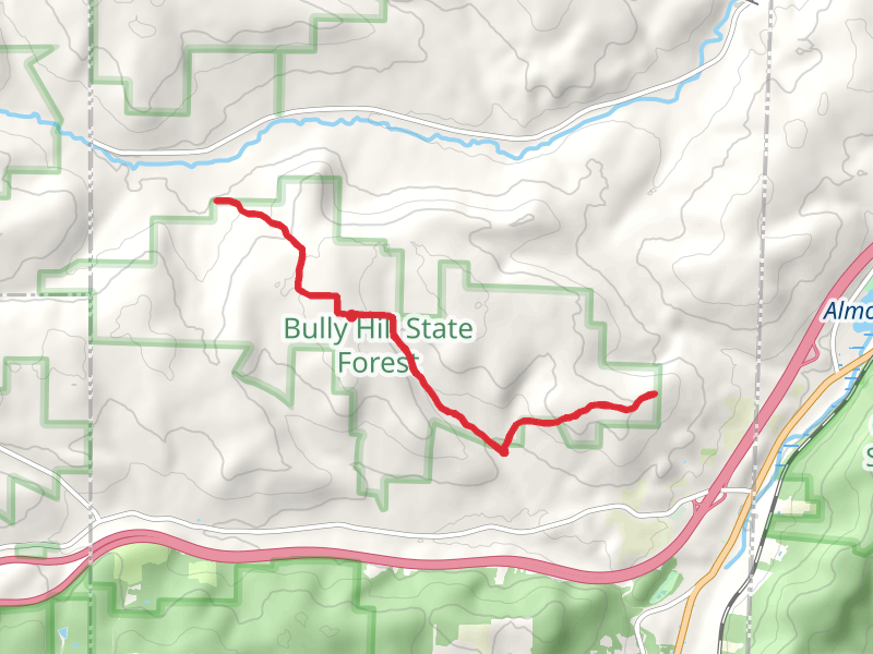 Finger Lakes - North Country Trail from Andrew Perry Road