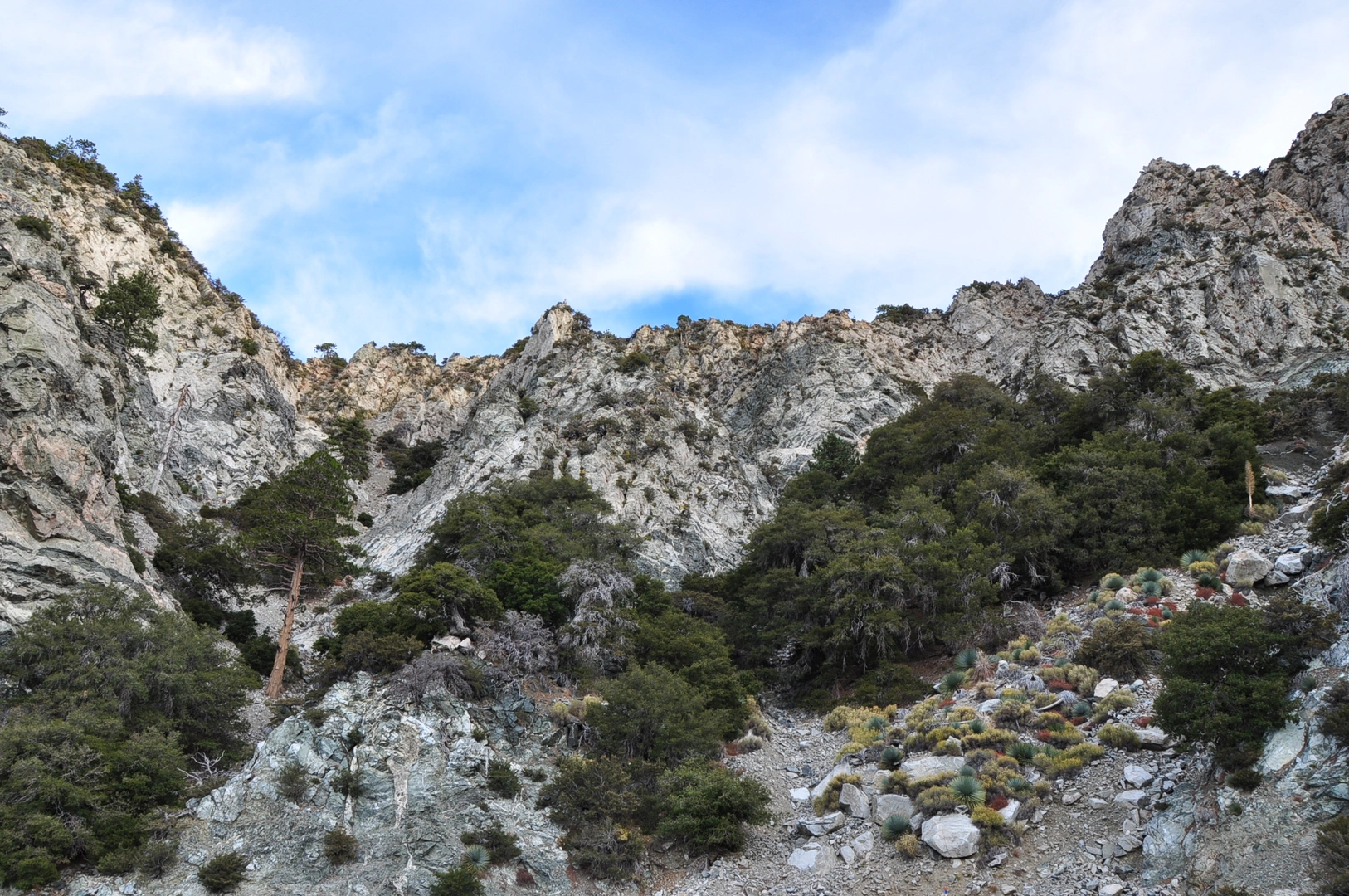 An image depicting the trail Mount Williamson, Pallett Mountain and Pleasant View Ridge Loop via Pacific Crest Trail and its surrounding area.