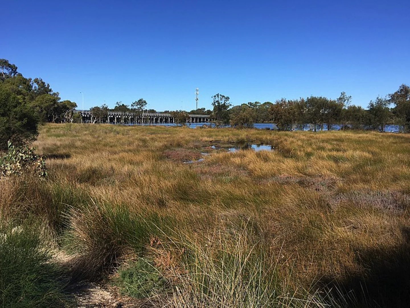 An image depicting the trail Baigup Wetland Trail and its surrounding area.