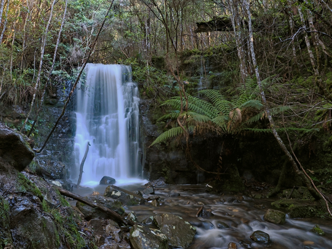 O’Gradys Falls Track