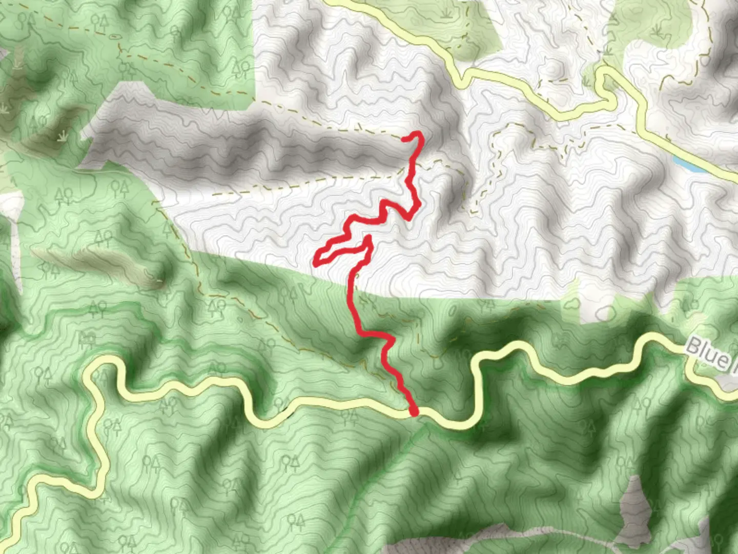 An image depicting the trail Fenner Saddle Road and its surrounding area.