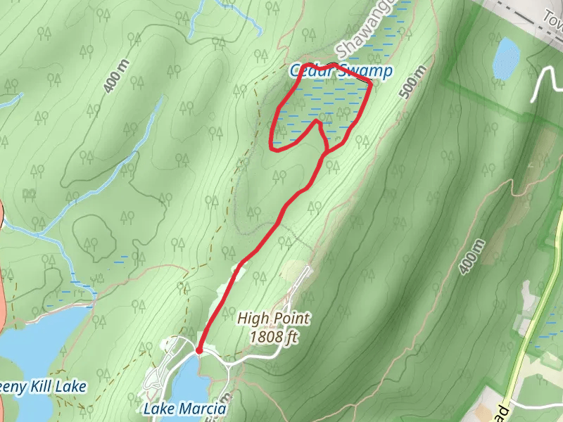 Cedar Swamp Trail Loop