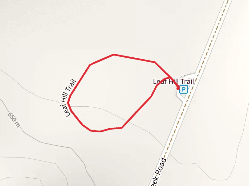 Leaf Hill Loop Trail
