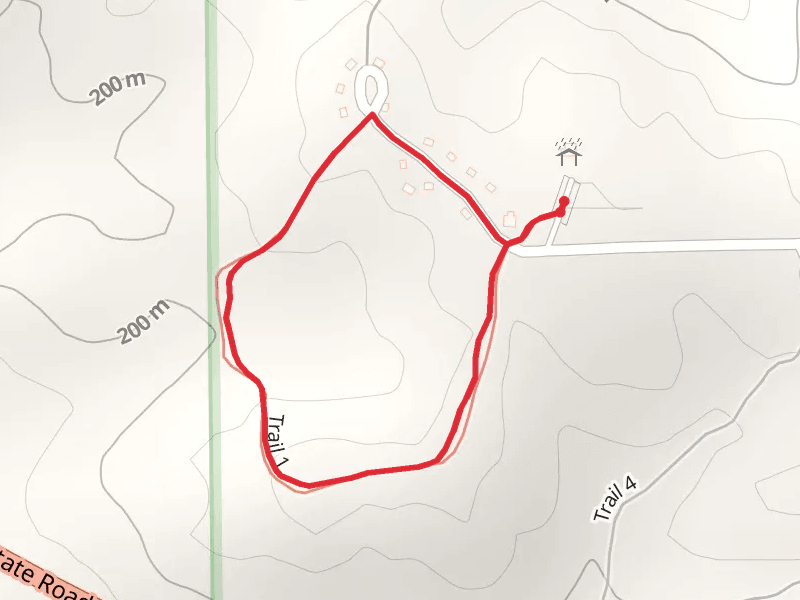 Trail 1 Loop
