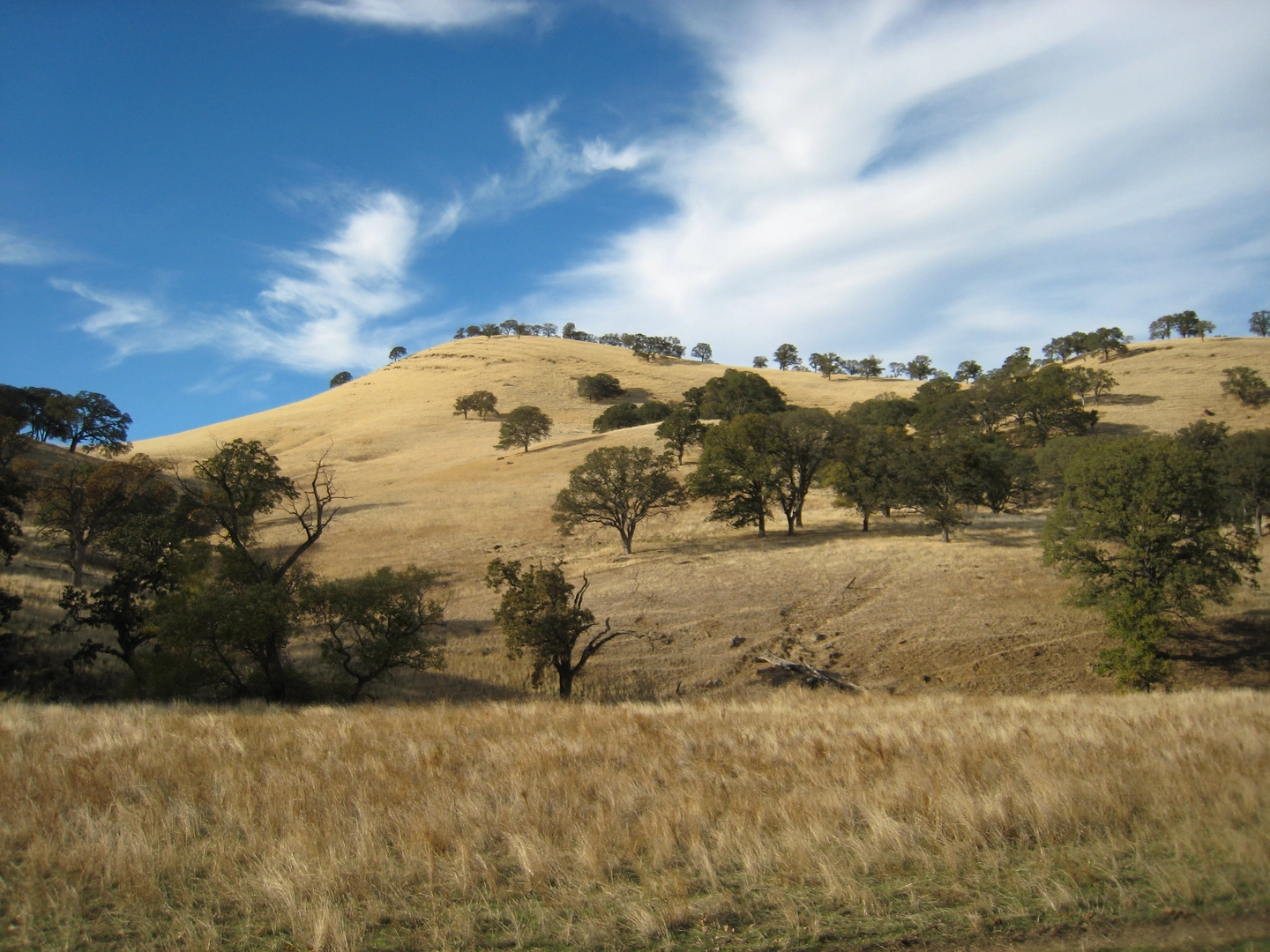 An image depicting the trail Kit Fox and Eagle Ridge Loop Trail and its surrounding area.
