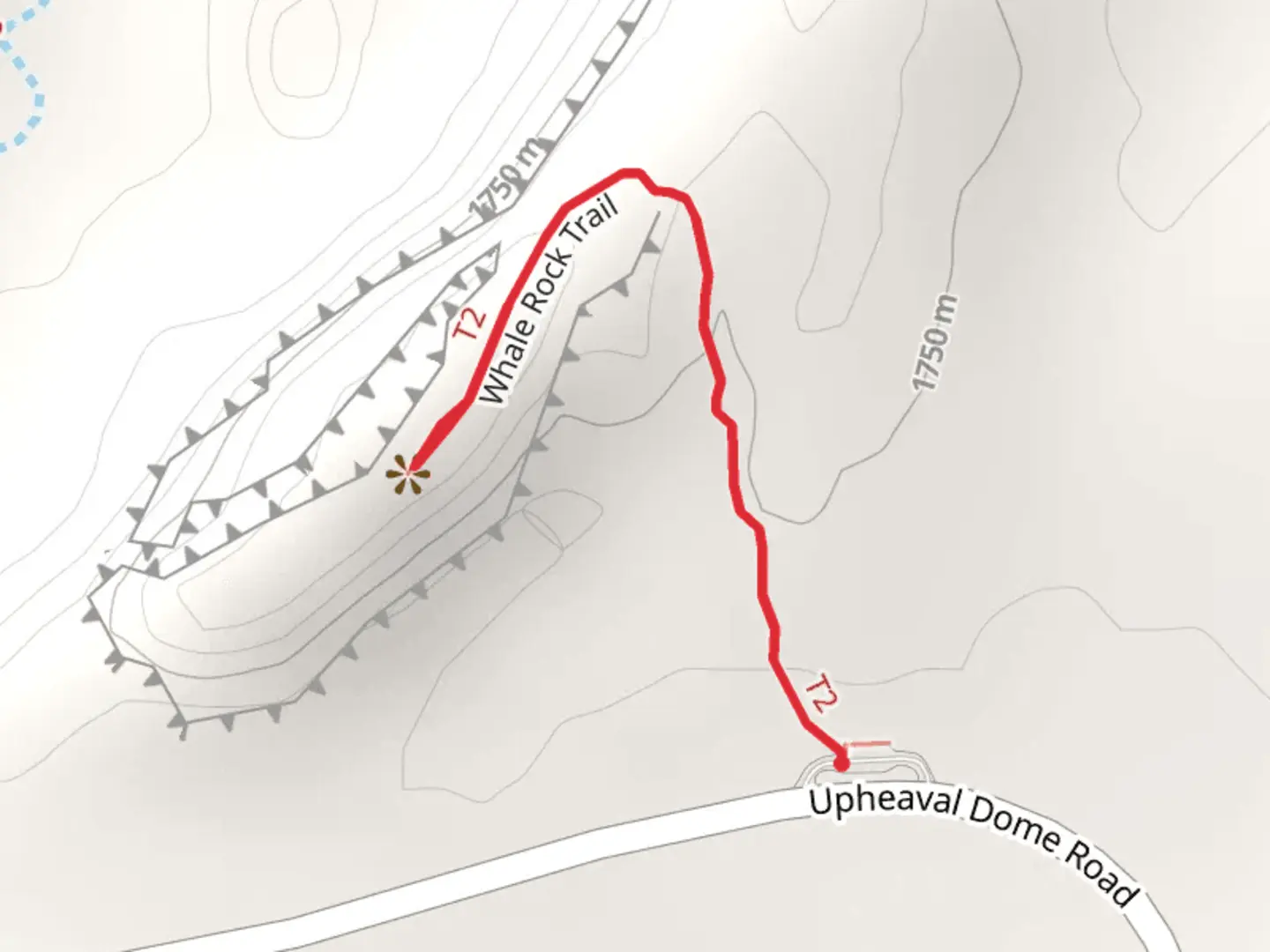 An image depicting the trail Whale Rock Trail and its surrounding area.