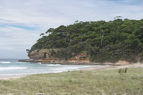Meroo Lake Track
