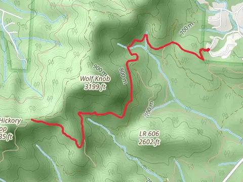 Ingles Field Gap Trail via Corvair Trail