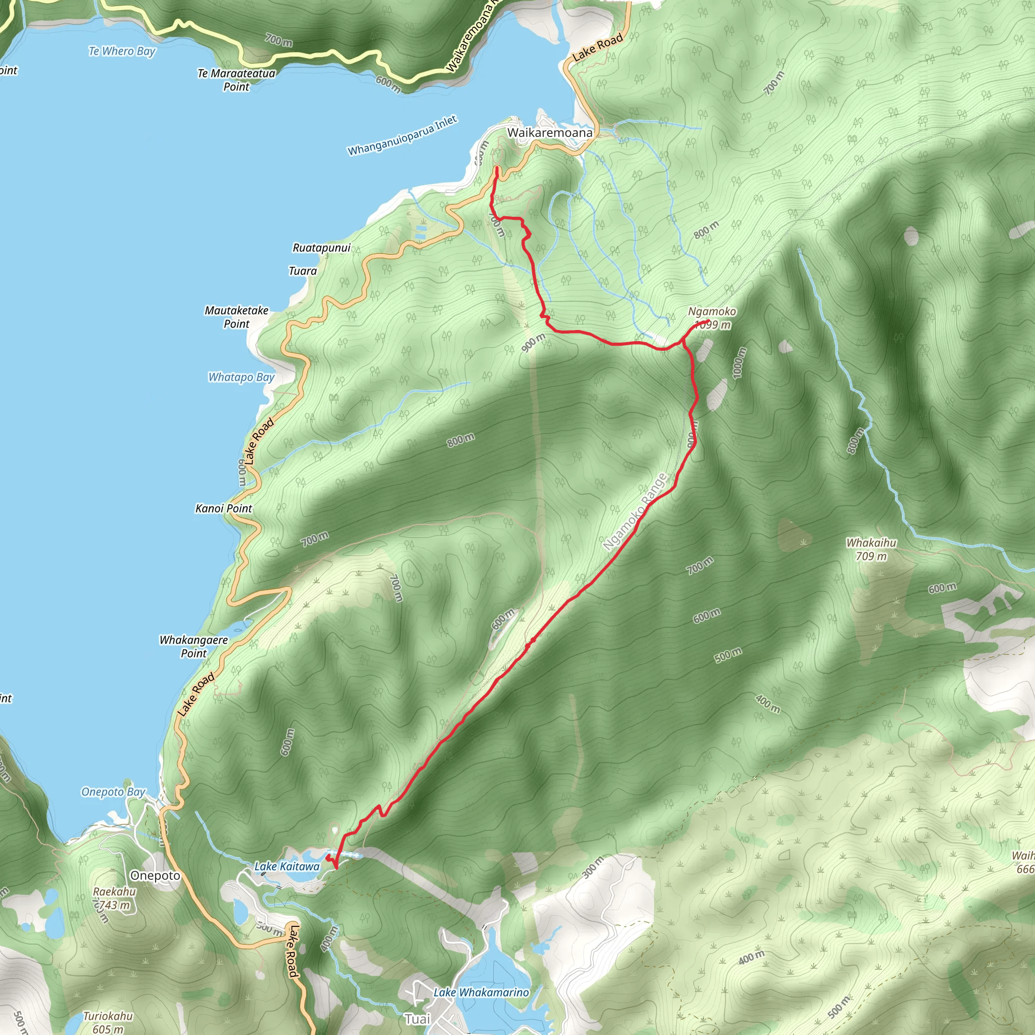 Ngamoko Track mobile static map