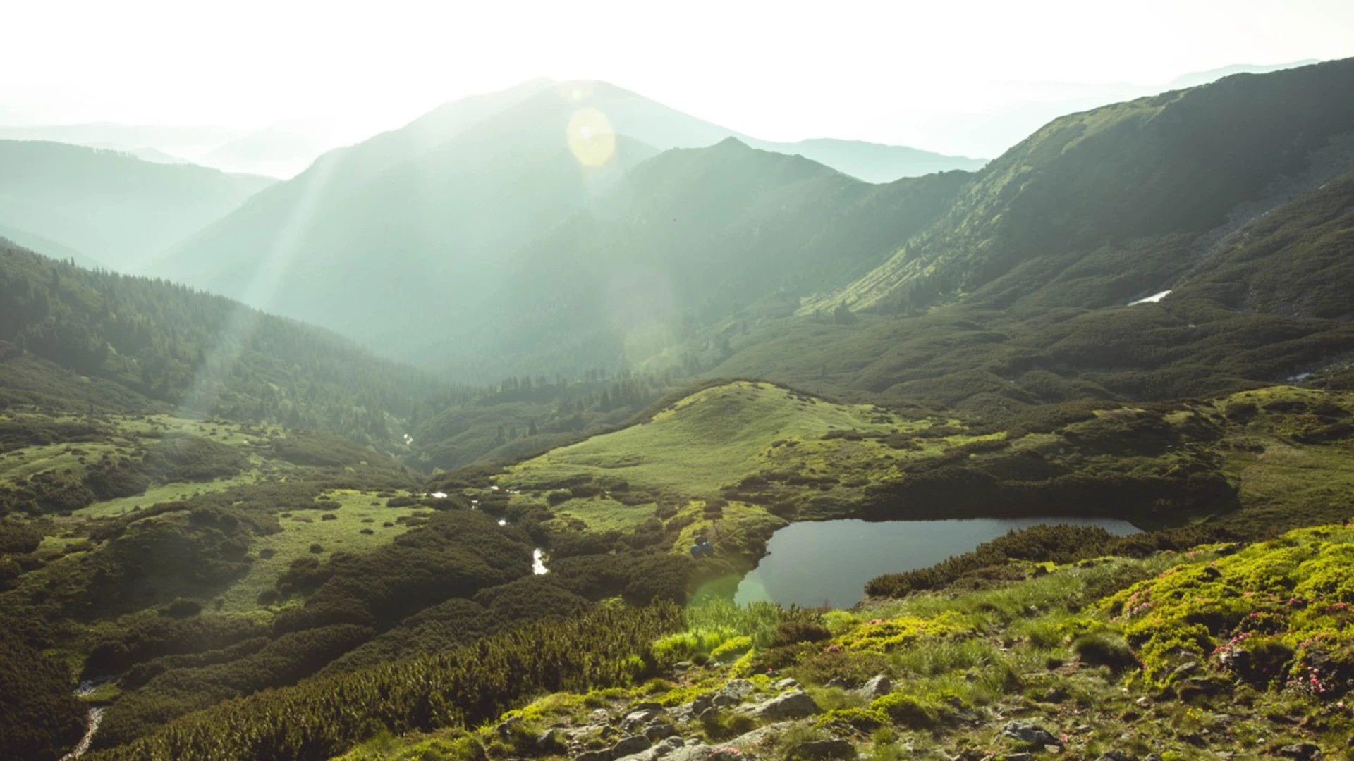 An image depicting the trail Rodna Mountains and its surrounding area.