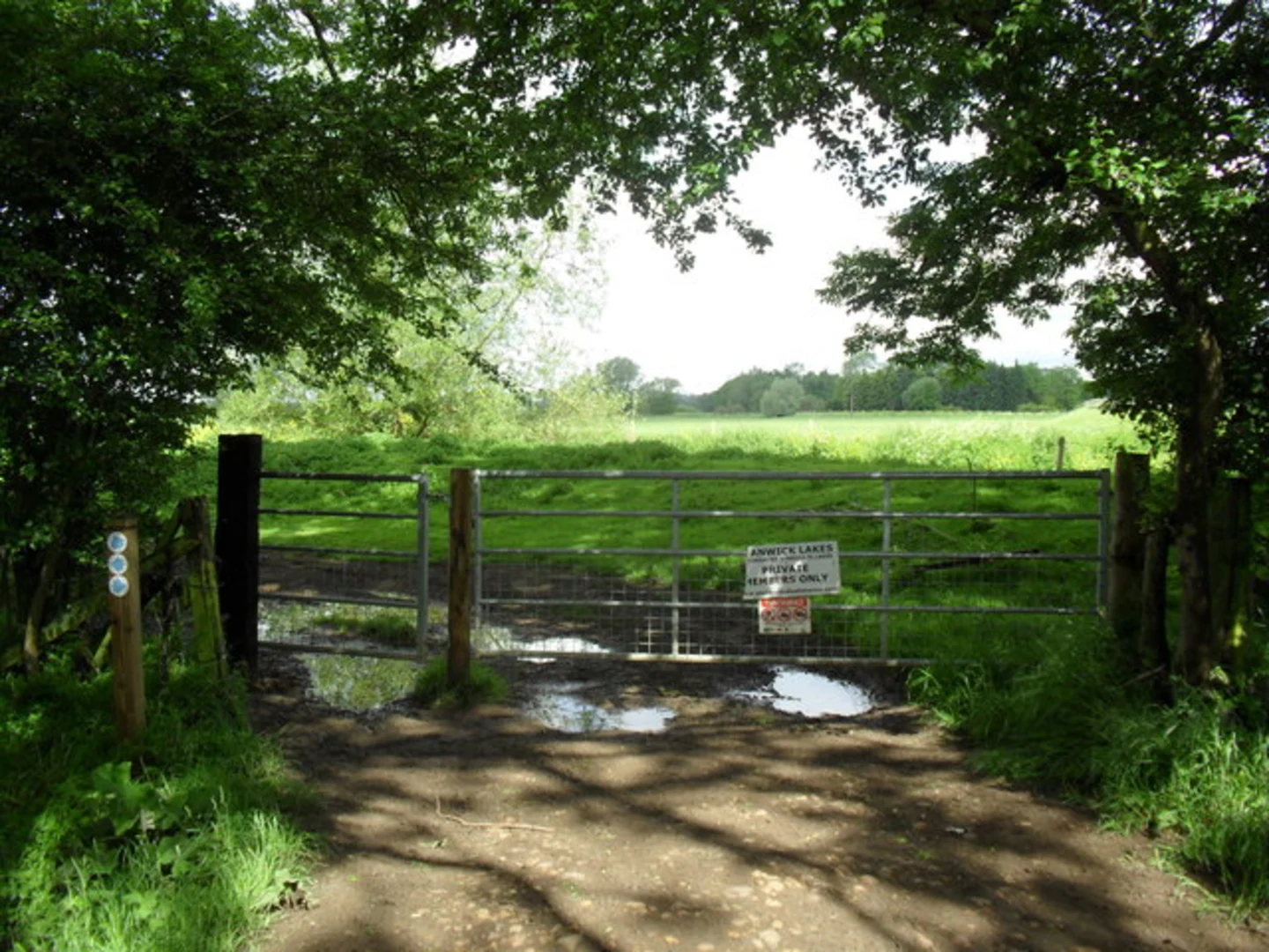 An image depicting the trail Upton Country Park and Kislingbury Syndicate Lake and its surrounding area.