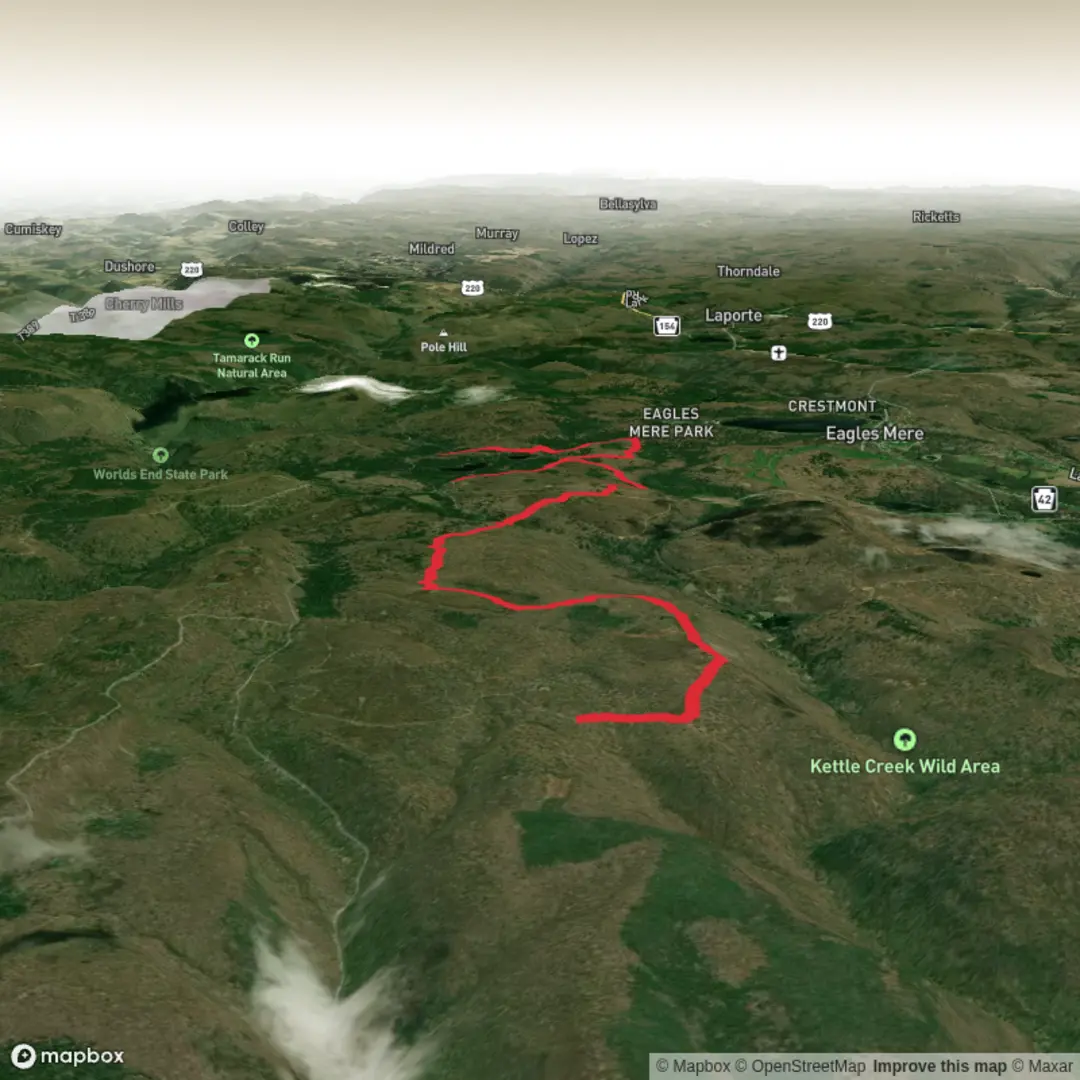 An image depicting the trail Loyalsock Bridle Trail and its surrounding area.