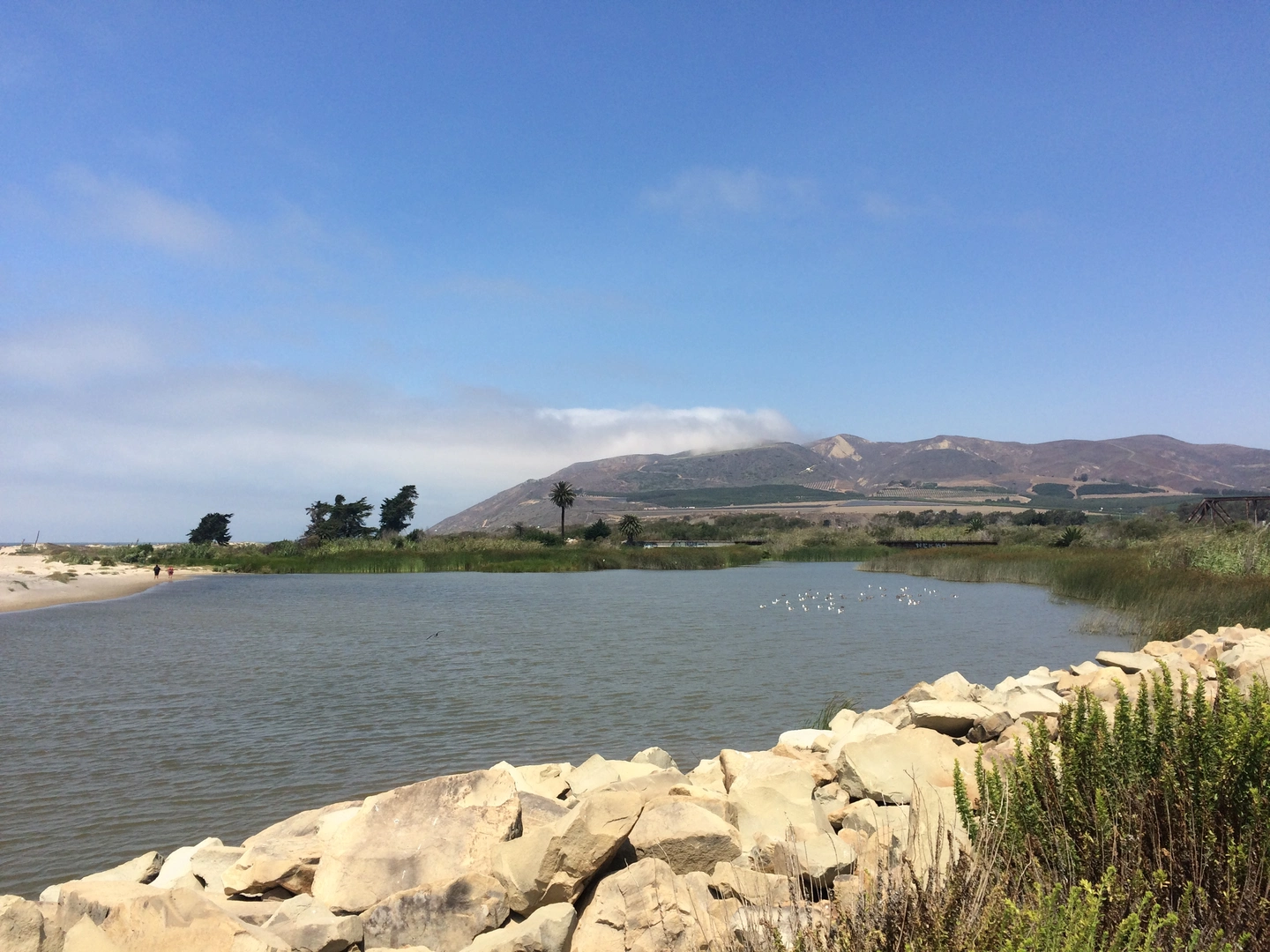 An image depicting the trail Ojai - Ventura Path and its surrounding area.