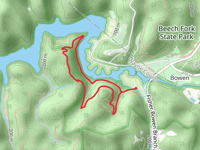 Beech Fork - Lost Trail