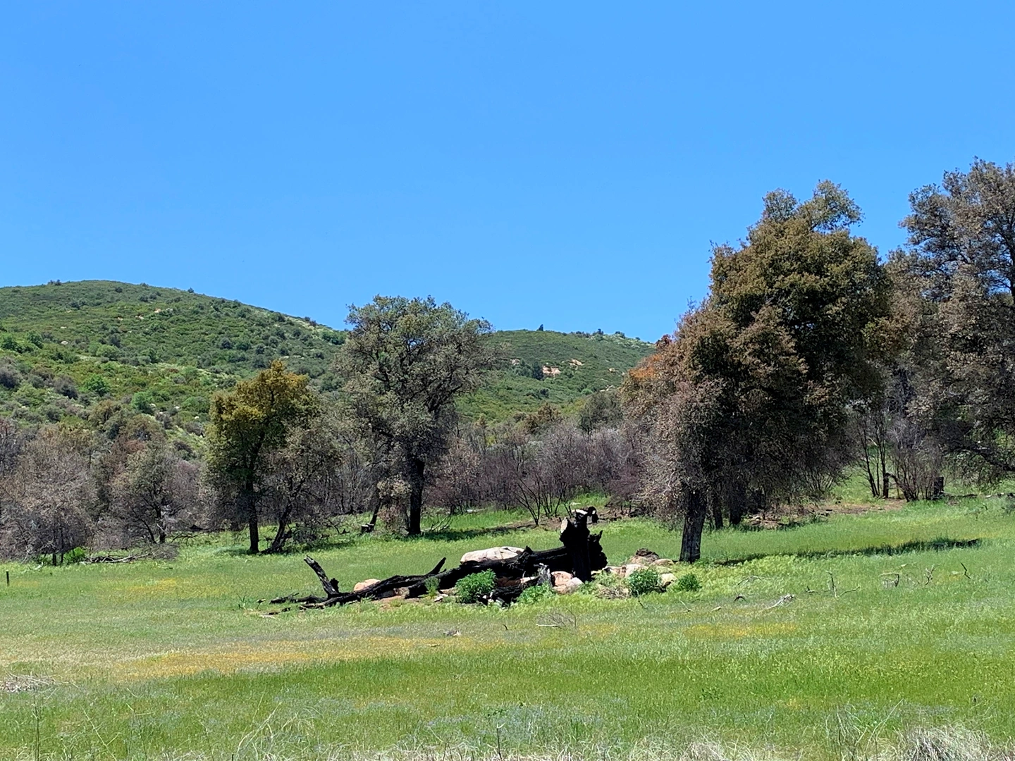 An image depicting the trail PCT and Upper Green Valley Loop Trail and its surrounding area.
