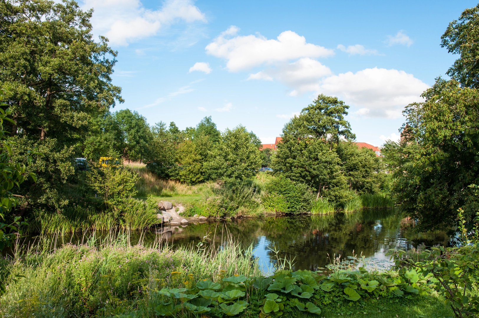 An image depicting the trail Jyderupstien and its surrounding area.