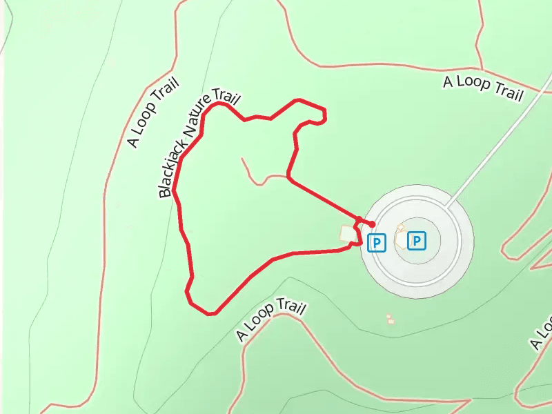 Blackjack Nature Loop Trail