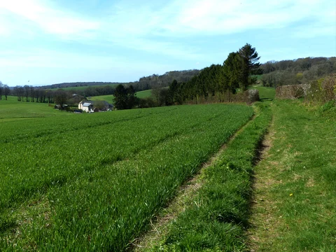 Stoughton to Pitlands Farm Walk