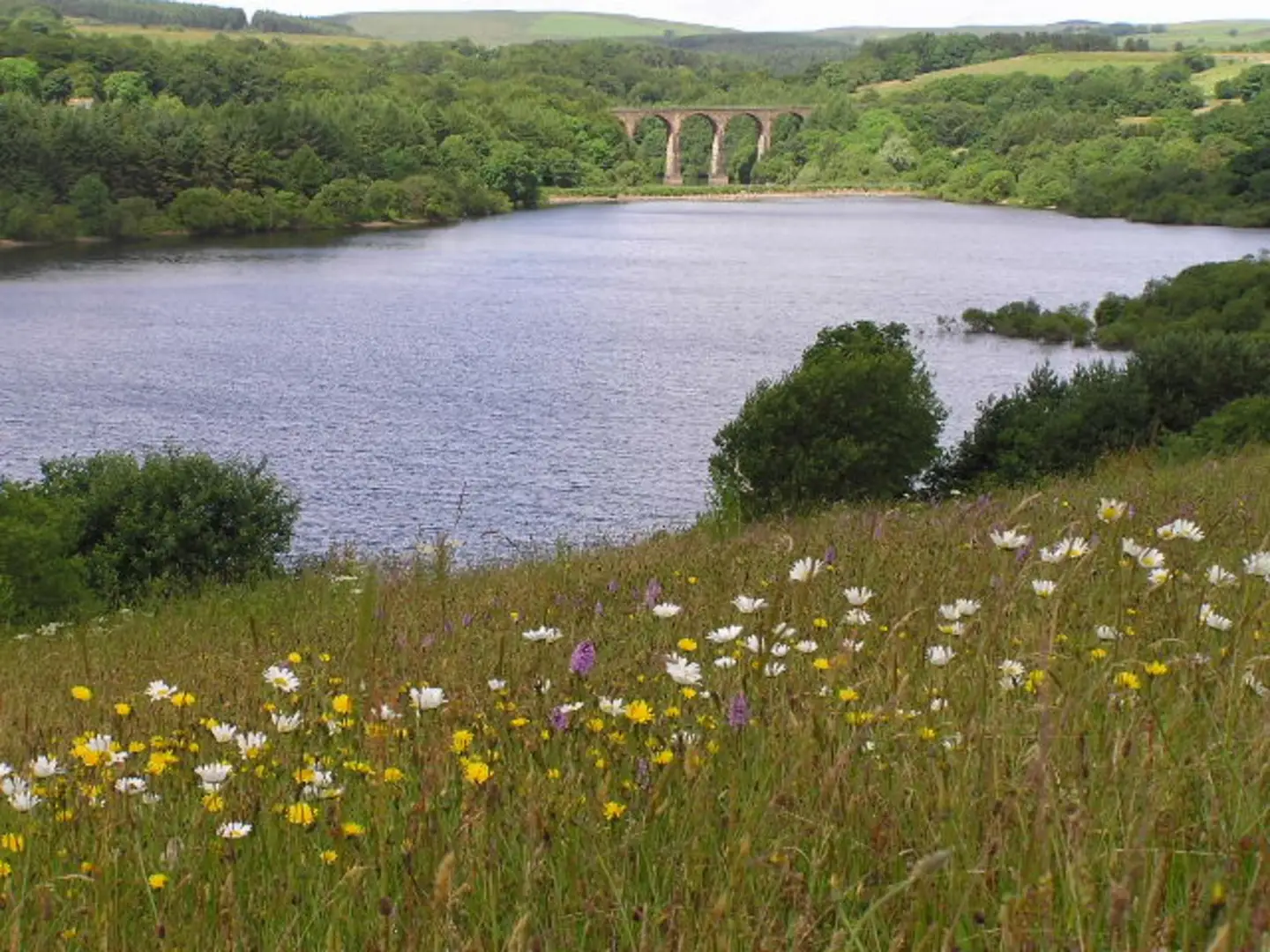 An image depicting the trail Jumbles Reservoir and Wayoh Reservoir Loop and its surrounding area.