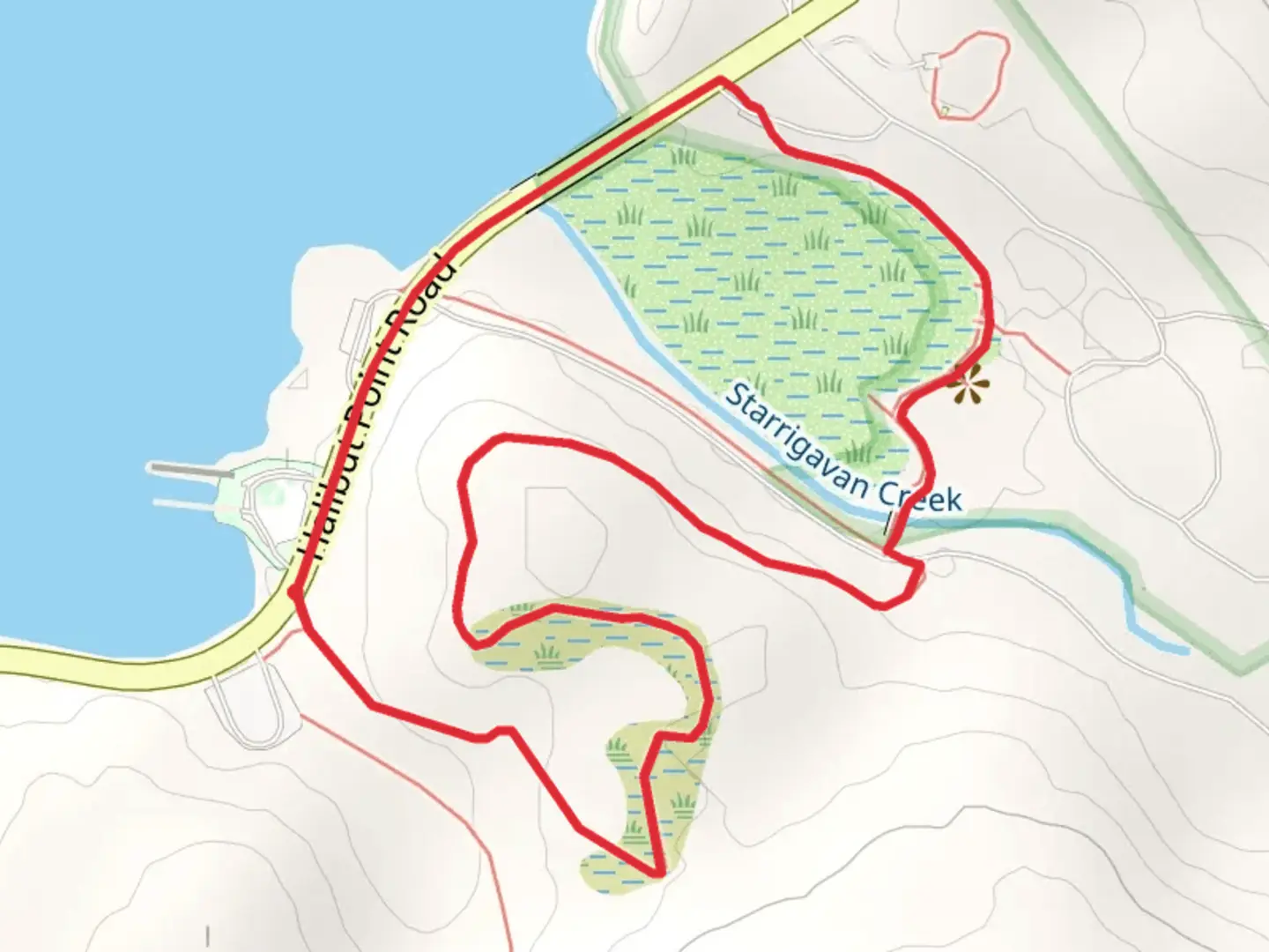 An image depicting the trail Ben Grussendorf Forest and Muskeg Loop Trail and its surrounding area.