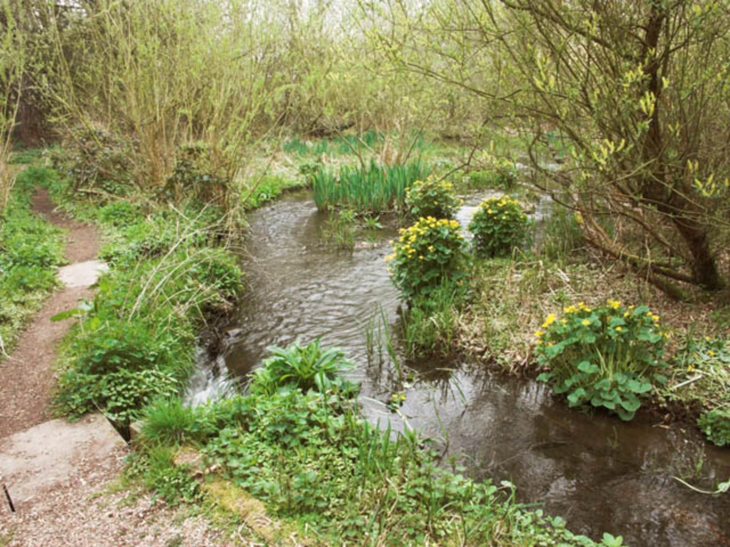 An image depicting the trail Elvaston Castle Country Park and Local Nature Reserve Walk and its surrounding area.