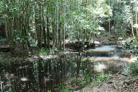Falls Walking Track