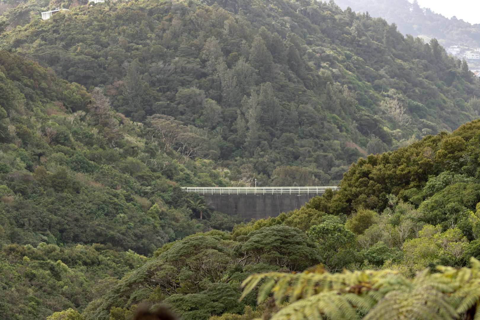 An image depicting the trail Aratiatia Rapids Lookout Walk and its surrounding area.