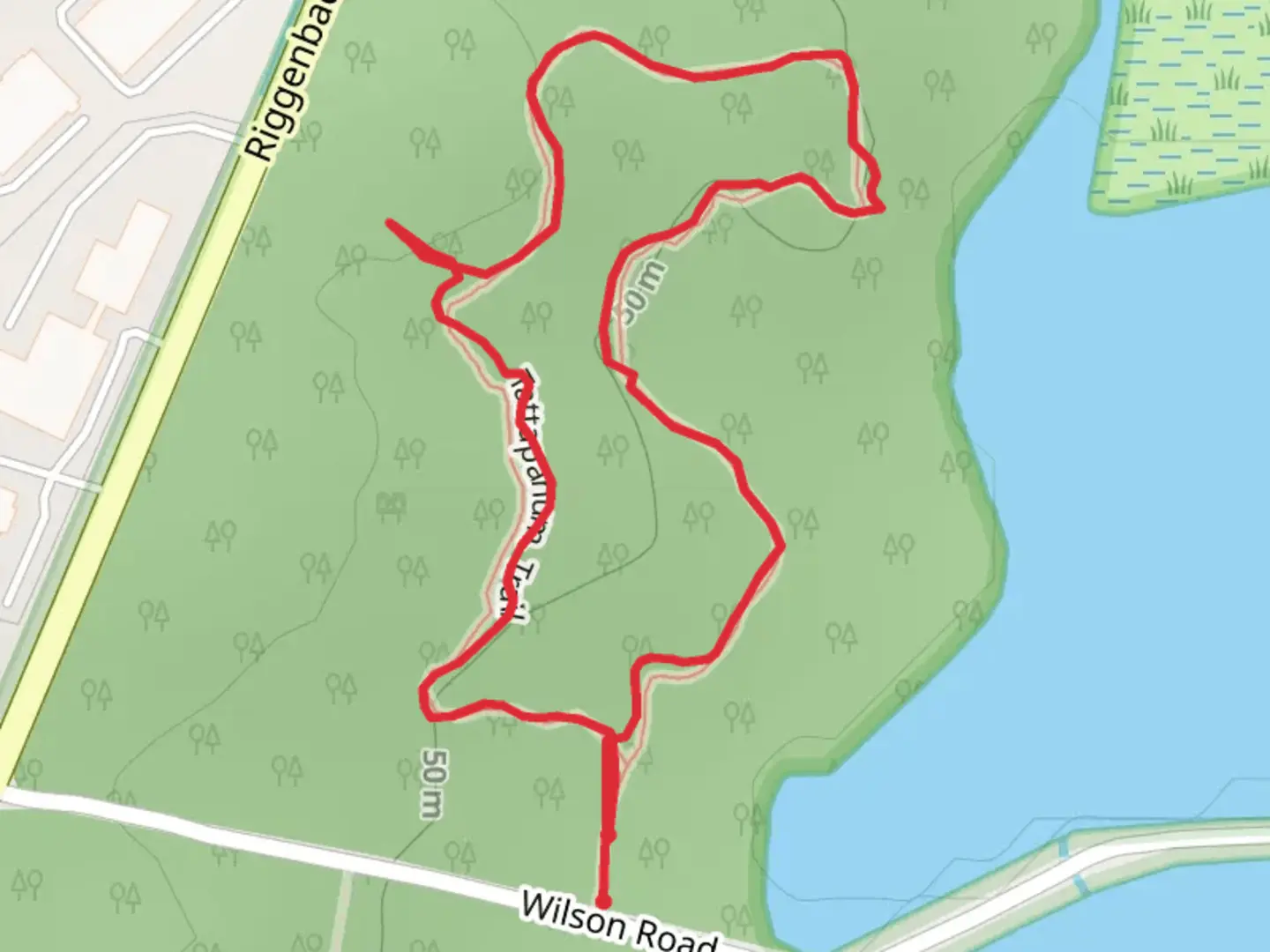 An image depicting the trail Wilson Road Loop and its surrounding area.