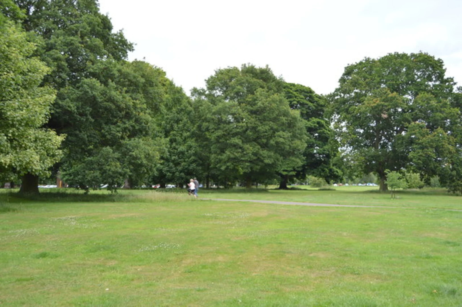 An image depicting the trail Market Bosworth Loop and its surrounding area.