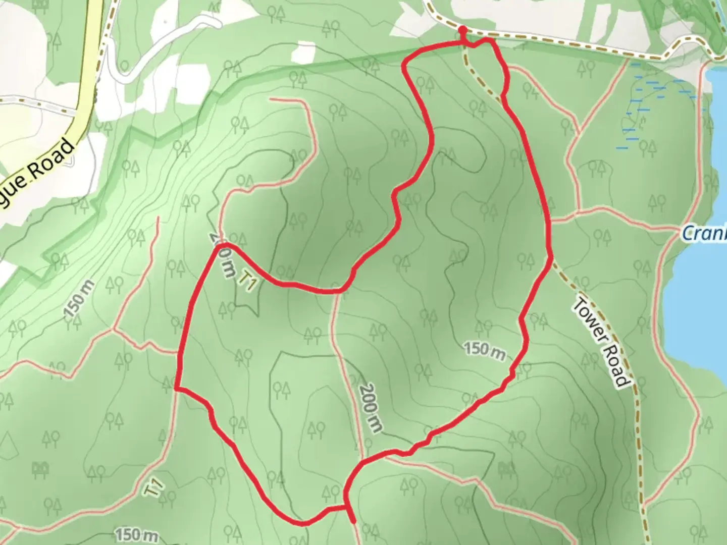 An image depicting the trail Robert Frost and Hemlock Loop Trail and its surrounding area.