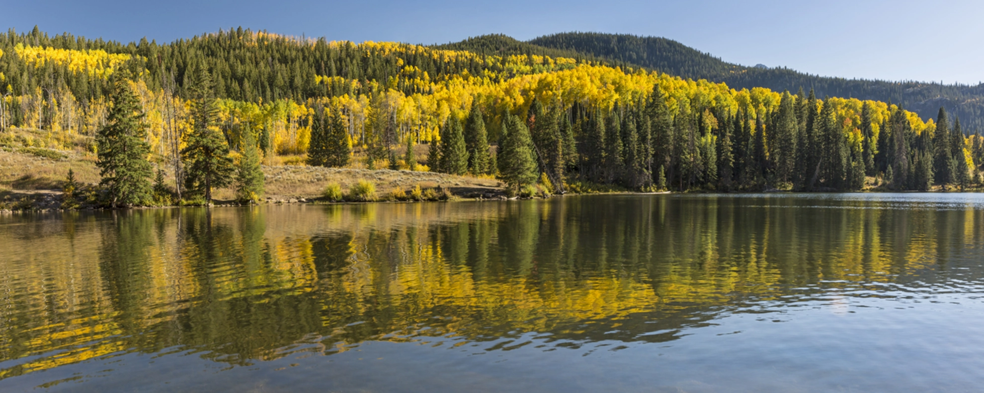 An image depicting the trail Surprise Lake Trail and its surrounding area.