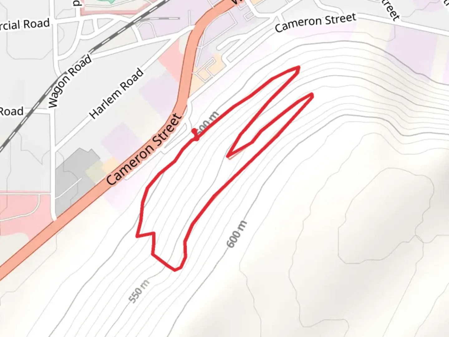 An image depicting the trail Cameron Street Loop and its surrounding area.