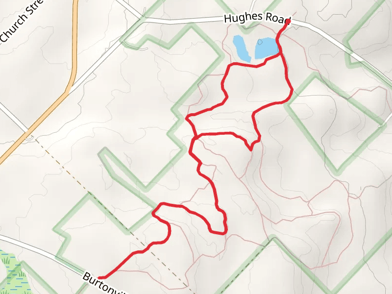 Snowmobile Loop Trail