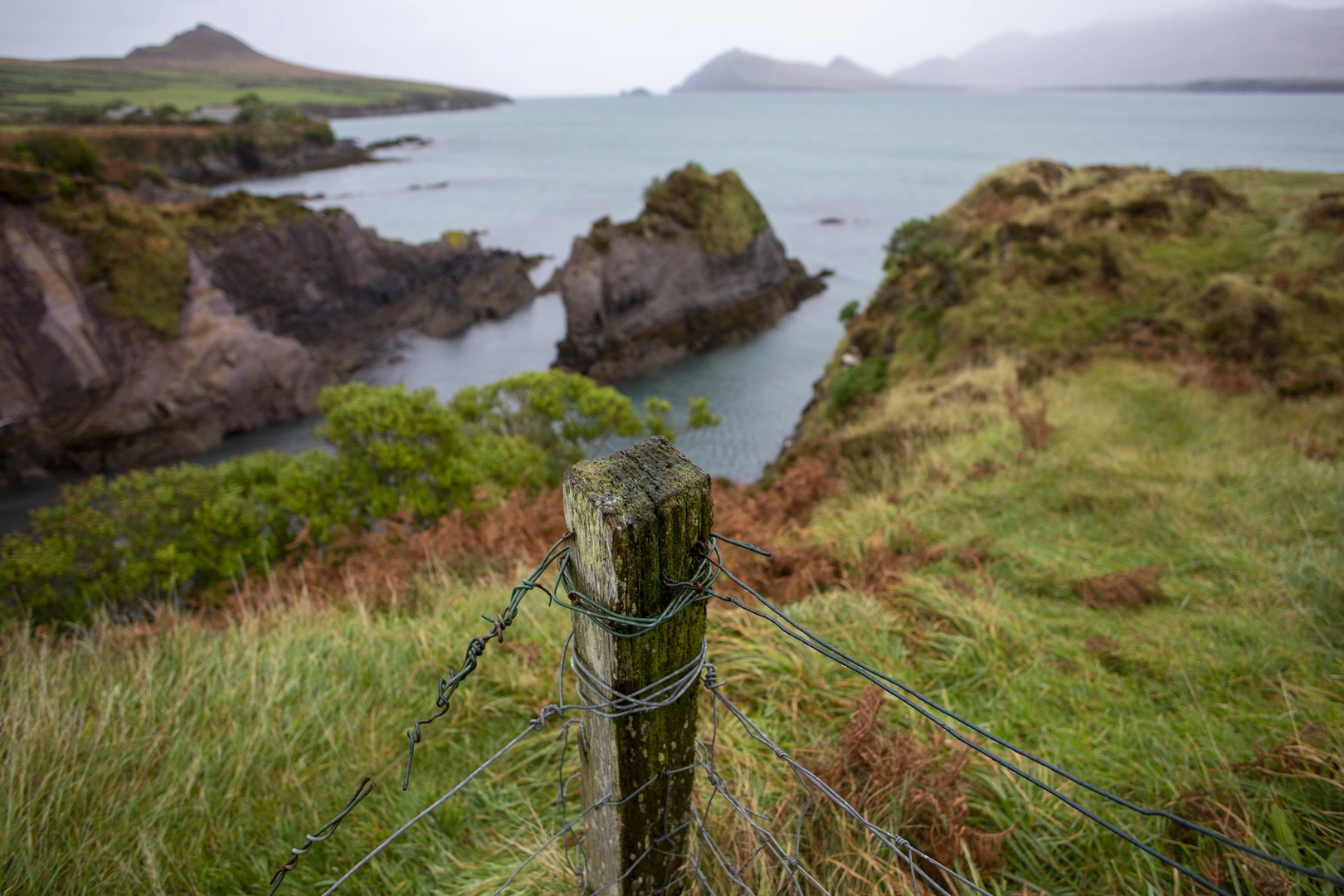 An image depicting the trail Ballydavid Cliff Walk and its surrounding area.