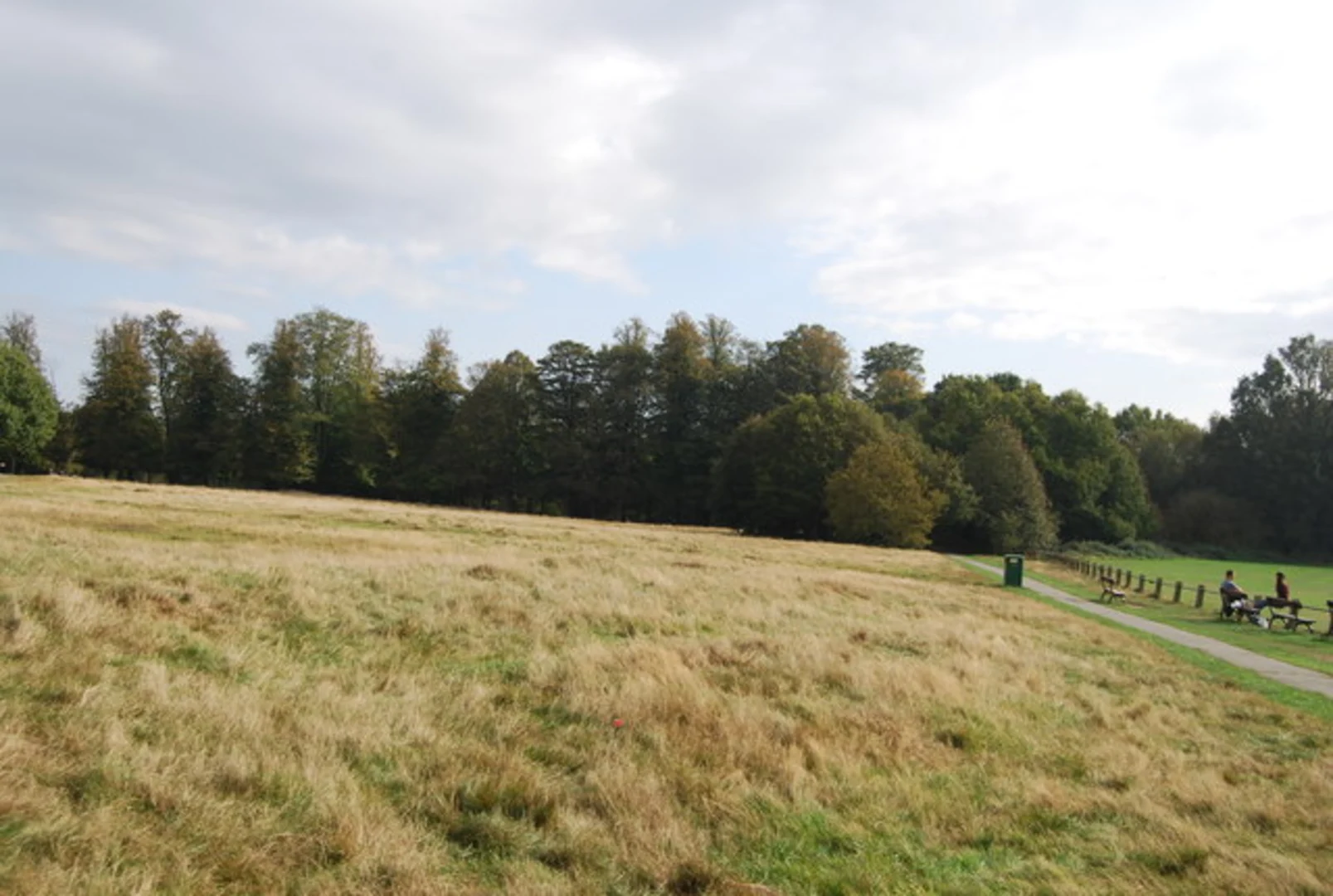 An image depicting the trail Tunbridge Wells Common Loop and its surrounding area.