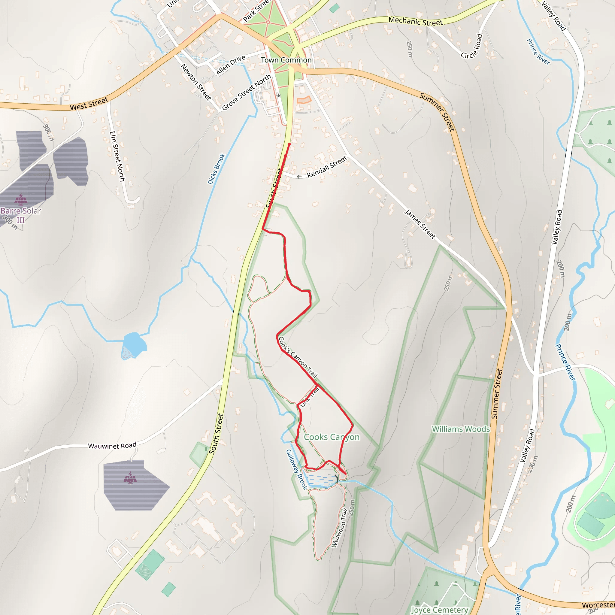 Galloway Brook Trail Loop from South Street mobile static map