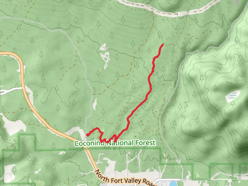 Moto Trail