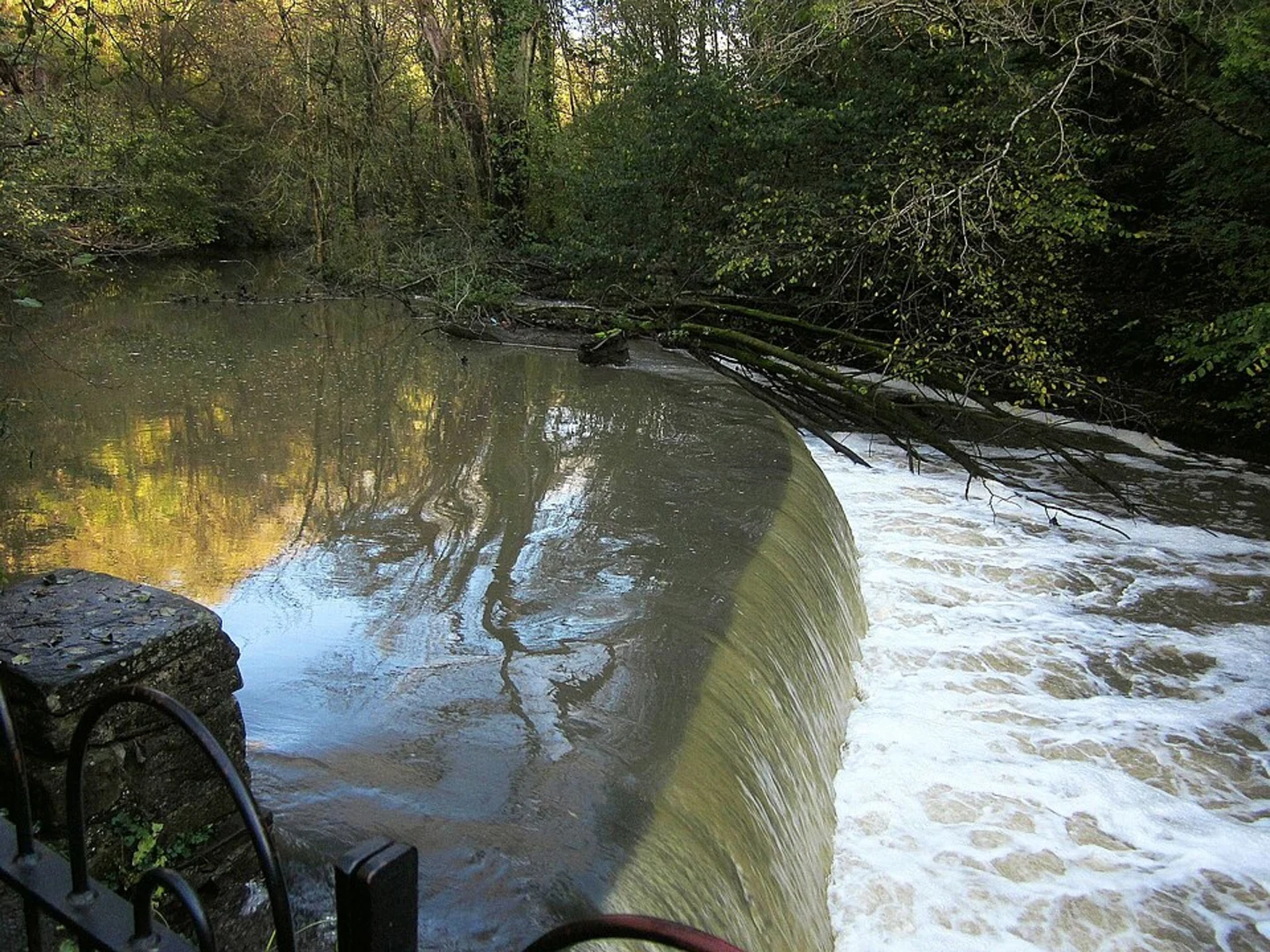 An image depicting the trail Oldbury Court Estate Loop and its surrounding area.