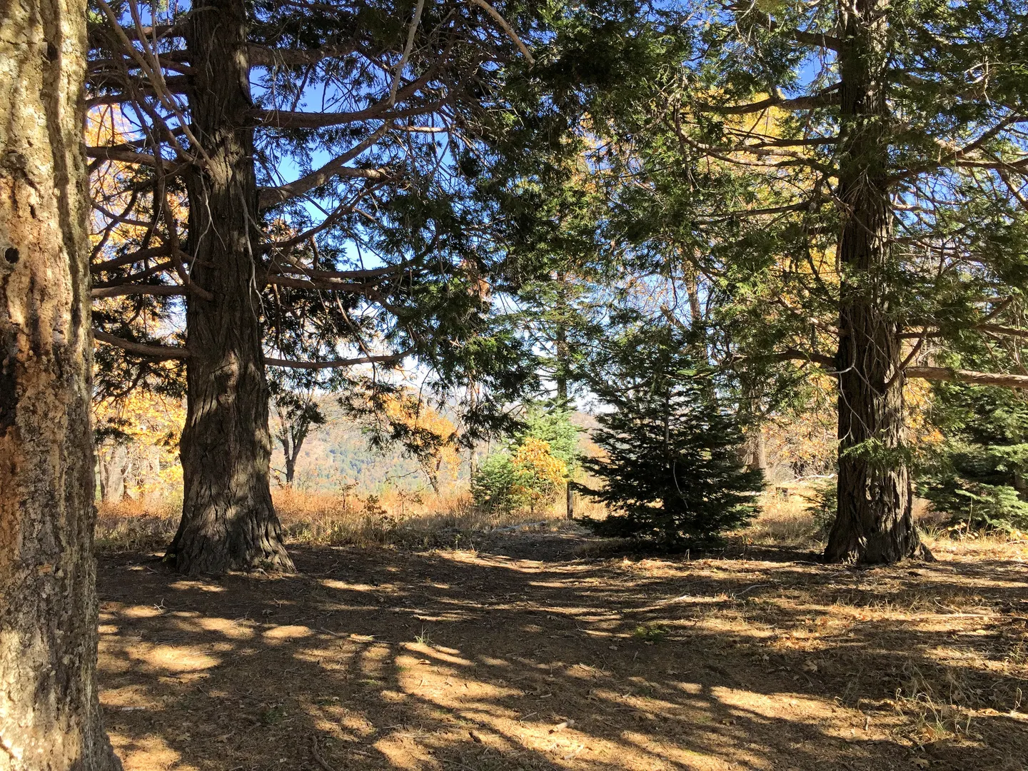 An image depicting the trail Boucher Hill, Doane Pond and Thunder Spring Loop Trail and its surrounding area.