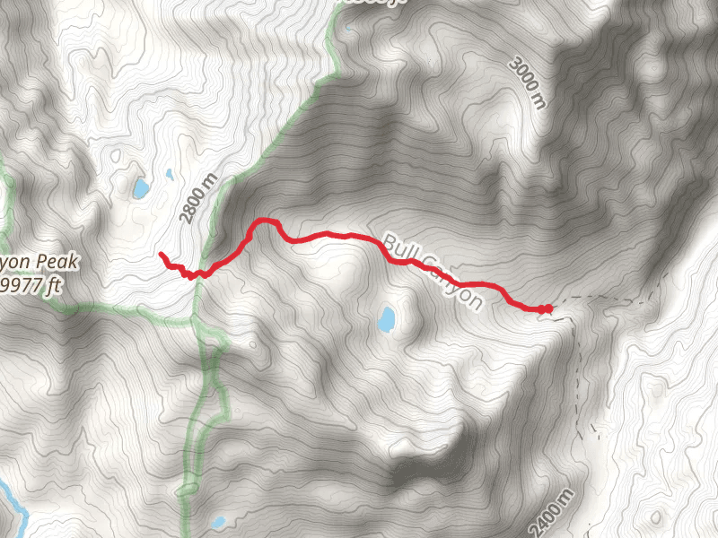 Bull Canyon Trail