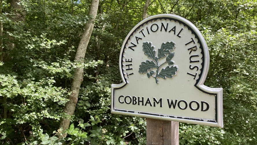 Cobham Loop via St Andrews Lakes