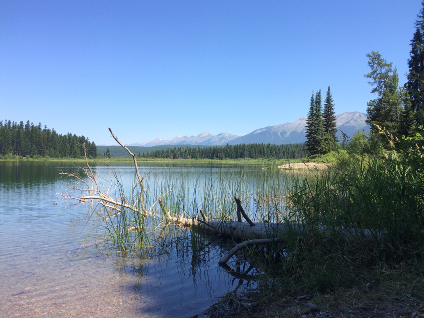 An image depicting the trail Rainy Lake East Trail and its surrounding area.