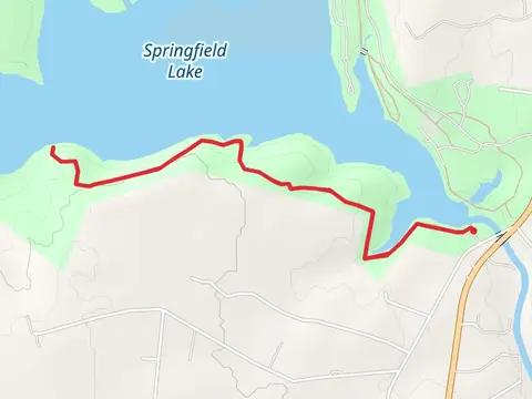 Springfield Lake - Baines Creek Trail Back