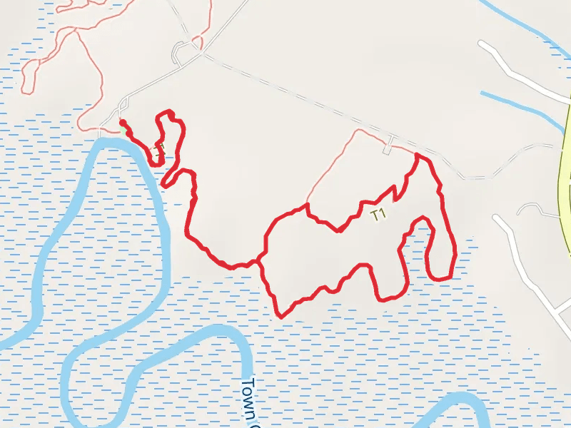 Dogwood Loop Trail
