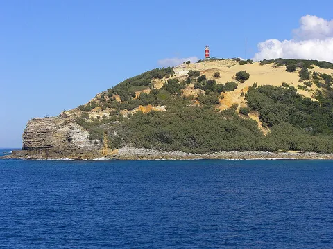 Telegraph Walking Track