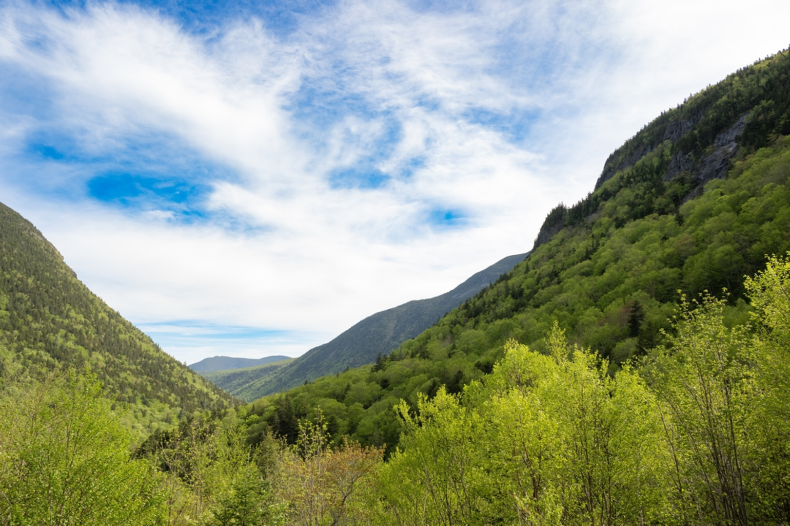 An image depicting the trail Crawford Cliff via Crawford Path Trail and its surrounding area.